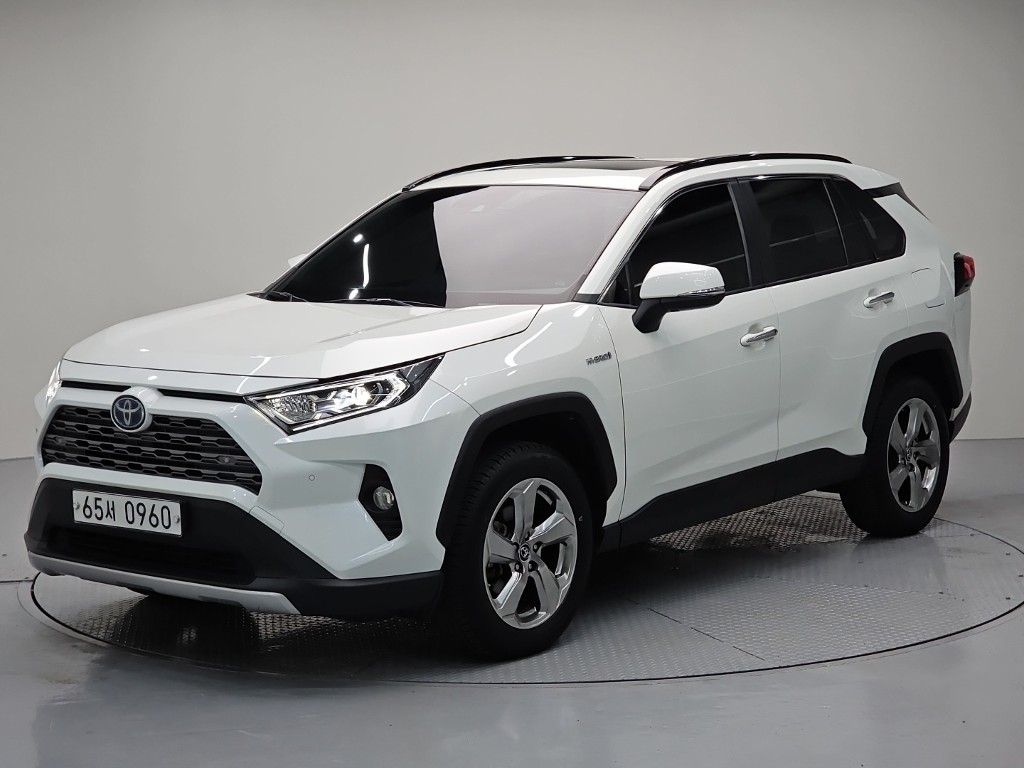 도요타 RAV4, 2019